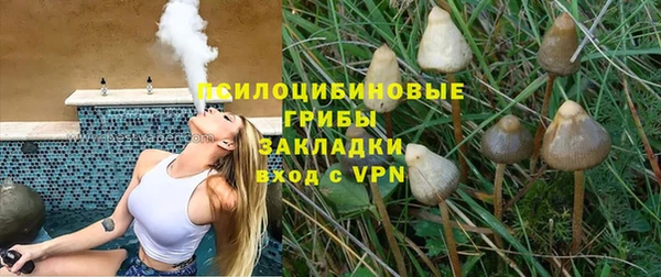 винт Зеленокумск