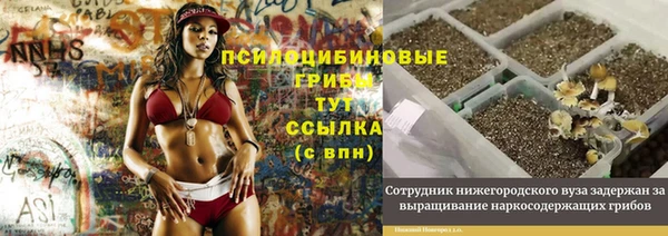прущая мука Зеленодольск
