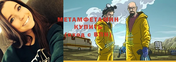 прущие грибы Инта