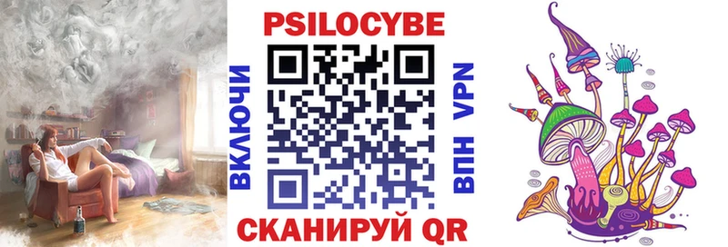 Псилоцибиновые грибы Psilocybe  Купить где  Набережные Челны 