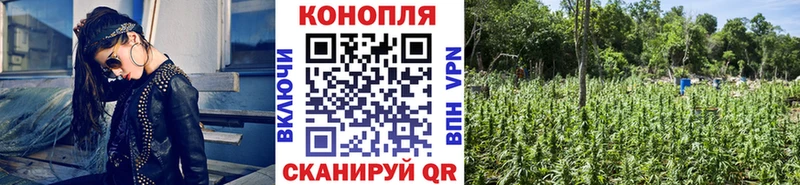 Шишки марихуана марихуана  Купить  Набережные Челны 